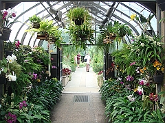 303 Longwood Gardens [2008 August 23]